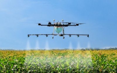 Transformación digital en Agricultura