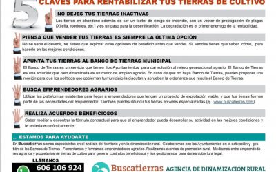 5 CLAVES PARA RENTABILIZAR TUS TIERRAS