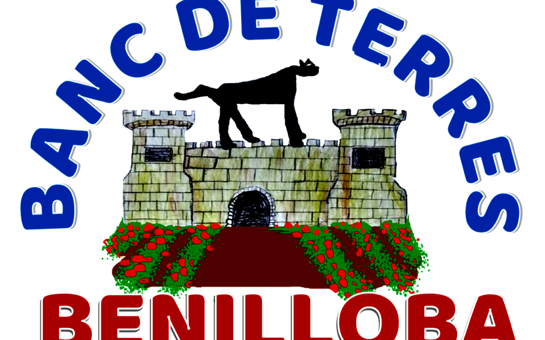 BANC DE TERRES DE BENILLOBA