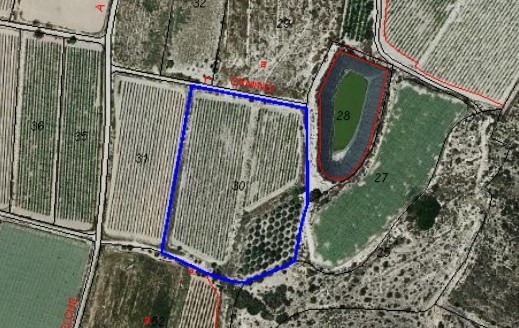 MDC ALMOLOIG2