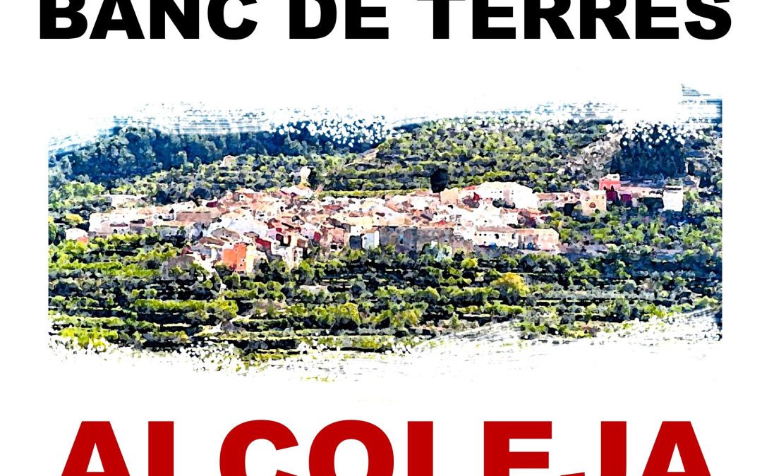 BANC DE TERRES D’ALCOLEJA